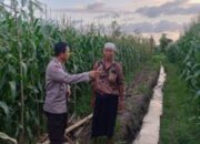 Strategi Polsek Gerung Dorong Kemandirian Ekonomi Warga Melalui Program Ketahanan Pangan Nasional