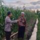 Bhabinkamtibmas Gerung Kawal Ketahanan Pangan Nasional