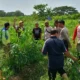 Perkuat Ketahanan Pangan, Bhabinkamtibmas Batulayar Ajak Warga Manfaatkan Lahan Kosong