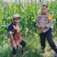 Transformasi Peran Polri: Strategi Polsek Labuapi Pastikan Lahan Produktif dan Kesejahteraan Petani Terjamin