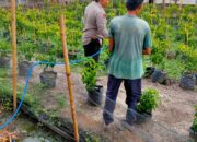 Bhabinkamtibmas Desa Sukaraja Ajak Warga Manfaatkan Pekarangan untuk Tanam Cabai dan Apotek Hidup