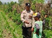 Perkuat Kedaulatan Pangan, Polsek Labuapi Dampingi Petani Optimalkan Lahan Pekarangan Warga