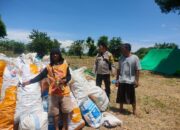 BHABINKAMTIBMAS DESA EKAS BUANA MONITORING PANEN JAGUNG WARGA DI DUSUN KUWANG ADIL