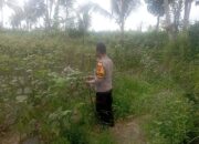 Bhabinkamtibmas Desa Kesik Cek Lahan Ketahanan Pangan Bergizi Bersama Warga