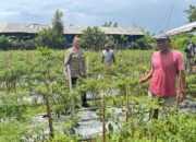 Kapolres Sumbawa Pantau Program Ketahanan Pangan di Dusun Meno