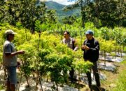 *Bhabinkamtibmas Desa Seran Dampingi Warga Kelola Pekarangan Pangan Bergizi*