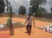 Ketahanan Pangan Nasional, Bhabinkamtibmas Polsek Donggo Aktif Dampingi dan Bantu Petani