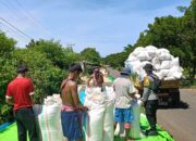 BHABINKAMTIBMAS POLSEK HU’U PANTAU PANEN JAGUNG WARGA, DUKUNG KETAHANAN PANGAN NASIONAL