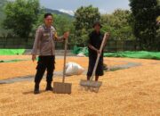 Bhabinkamtibmas Polsek Dompu Lakukan Pemantauan Jagung Warga Dukung Ketahanan Pangan Nasional