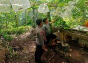 **Bhabinkamtibmas Desa Lamusung Dampingi Warga Kelola Lahan Pangan Bergizi**