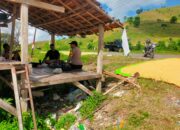 Bhabinkamtibmas Desa Jala Turun ke Lapangan, Pastikan Hasil Panen Aman dan Optimal