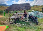 Bhabinkamtibmas Desa Jala Turun ke Lapangan, Pastikan Hasil Panen Aman dan Optimal