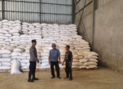 Kualitas Jempolan dengan Kadar Air 14 Persen, Petani Sekotong Distribusikan 10,5 Ton Jagung ke Gudang Bulog