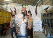 Polsek Gerung Kawal Distribusi Jagung Petani ke BULOG