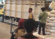 Sinergi Bhabinkamtibmas dan Poktan Pade Maiq: Pastikan Stok Pangan Nasional Aman Terkendali