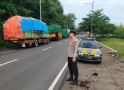 Sukses Urai Kepadatan, Ribuan Truk Ternak Sapi dari Pelabuhan Lembar Berhasil Diseberangkan ke Banyuwangi