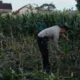 Program Ketahanan Pangan Polsek Labuapi Sasar Pekarangan