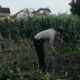 Ketahanan Pangan Nasional: Aksi Nyata Bhabinkamtibmas Labuapi Sulap Pekarangan Jadi Lahan Produktif