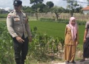 Transformasi Pekarangan Warga di Desa Labuapi: Polisi Ajak Masyarakat Sulap Lahan Tidur Jadi Produktif