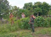 Bhabinkamtibmas dan Babinsa Labuapi Komit Jaga Pangan Desa