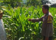 Sentuhan Humanis Polri di Labuapi: Edukasi Warga Kelola Lahan Mandiri Demi Swasembada Pangan