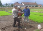 Kawal Instruksi Presiden, Personel Polsek Gerung Dampingi Petani Dusun Anjok Olah Lahan dan Bibit Unggul