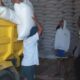 Petani Mareje Kirim Hasil Panen Jagung ke Gudang Bulog