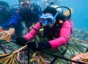 Jaga Kelestarian Ekosistem Laut, Ketua Bhayangkari Daerah NTB Tanam Terumbu Karang di Gili Sudak