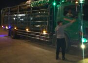 Polisi Pastikan Jalur Logistik Ternak di Pelabuhan Lembar Kondusif, Ratusan Truk Sapi Sudah Menyeberang