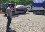 Kabar Baik dari Lombok Barat: Arus Logistik Pengiriman Hewan Ternak di Pelabuhan Lembar Kini Melandai