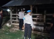 Polsek Sekotong Gencarkan Patroli Malam di Lokasi Rawan 3C