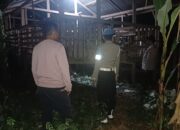 Antisipasi Maling Ternak yang Meresahkan, Polsek Lembar Gencarkan Patroli Malam di Titik Rawan