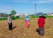 Dukung Ketahanan Pangan, Polisi Sambangi Petani Karang Bongkot
