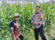 Sinergi Polri dan Petani Labuapi: Langkah Nyata Wujudkan Swasembada Pangan dari Akar Rumput