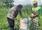 Bhabinkamtibmas Labuapi Motivasi Petani Manfaatkan Pekarangan