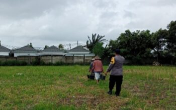 Ketahanan Pangan di Karang Bongkot Memanfaatkan Pekarangan