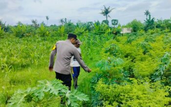 Polri Dampingi Petani Jagung di Bagik Polak Lombok Barat