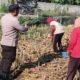 Perkuat Ketahanan Pangan, Polsek Labuapi Ajak Warga Sulap Lahan Kosong