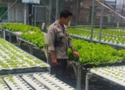 Sinergi Polsek Labuapi dan Warga Bengkel Wujudkan Pekarangan Bergizi