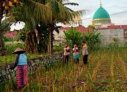 Bhabinkamtibmas Labuapi Ajak Warga Manfaatkan Lahan Produktif