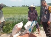 Sinergi Polsek Labuapi Dukung Swasembada Pangan di Desa