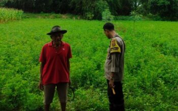 Polsek Labuapi Apresiasi Inisiatif Warga Desa Bengkel yang Sukses Bangun Ketahanan Pangan dari Rumah