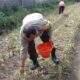 Polsek Labuapi Dorong Petani Lombok Barat Optimalkan Lahan Hortikultura
