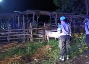 Polsek Sekotong Gencarkan Patroli KRYD, Sasar Kandang Sapi Warga