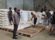 Polsek Gerung Kawal Penyaluran Belasan Ton Jagung ke BULOG