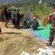 TNI Hadir di Sawah, Dukung Petani Wujudkan Swasembada Pangan