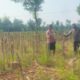 Bhabinkamtibmas Desa Kembangbilo Sambangi Petani Jagung, Perkuat Sinergi  Dukung Ketahanan Pangan