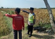Polri Dukung Astacita, Polsek Rengel Polres Tuban Turun Cek Tanaman Padi Warga di Desa Pekuwon