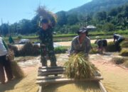 Cuaca Tak Bersahabat, Pendampingan Babinsa Jadi Penyemangat Petani