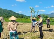 Bhabinkamtibmas Gerung Motivasi Kelompok Tani Karang Langko